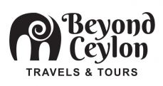 gallery/bc-logo